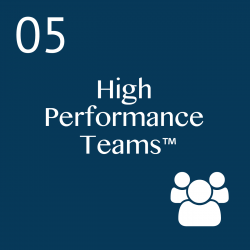 We build your High performance teams with: 1 Day Executive Team Workshop; 1 Day Team Leadership Workshop; 1 Day Team Member Program; Team tools; Team Coaching
