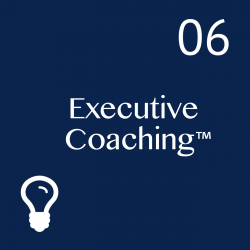 Examples of the Value of Coaching: Leadership skills, mindset and attitude; Management skill mastery; Derailment avoidance; Succession planning and development; Relating and Influencing; Communication style; Emotional Intelligence; Certified Assessment partner for DISC, LEA, PD, IDI, EI, Kolbe and Thomas.